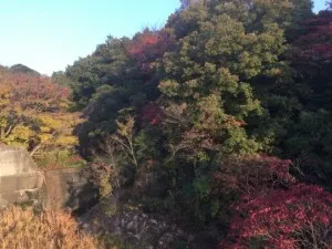 マイホームデザイナー５から９に切り替えました！