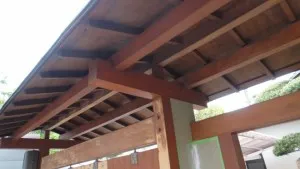 DSC03352