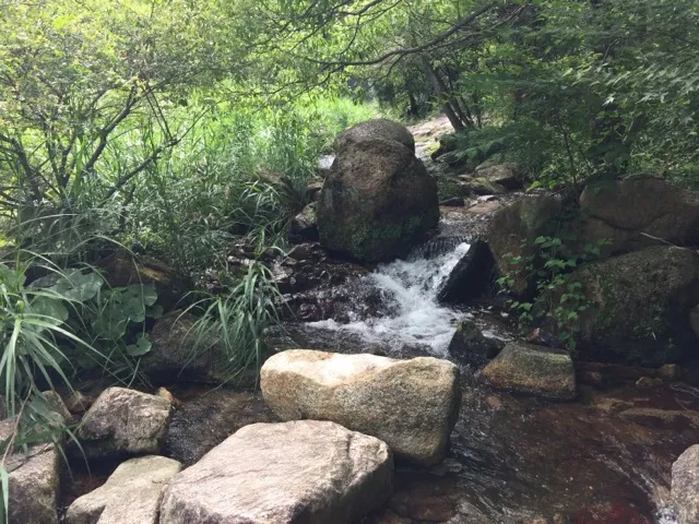 2ヶ月、サボってました…