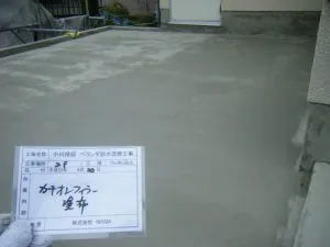 DSCF4172