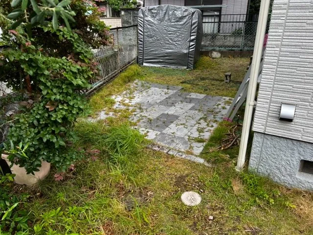 img1