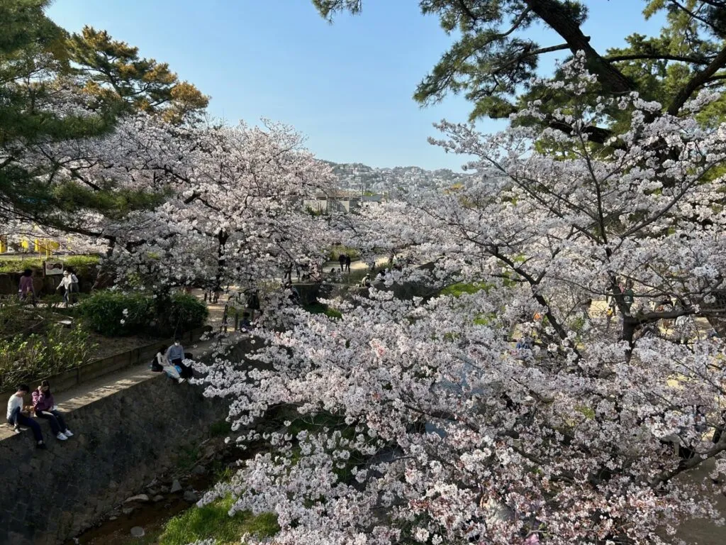 決め手は技術力と提案力です！