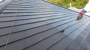 20161012_150553
