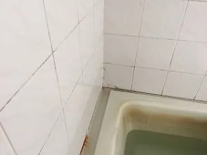 1437278721136