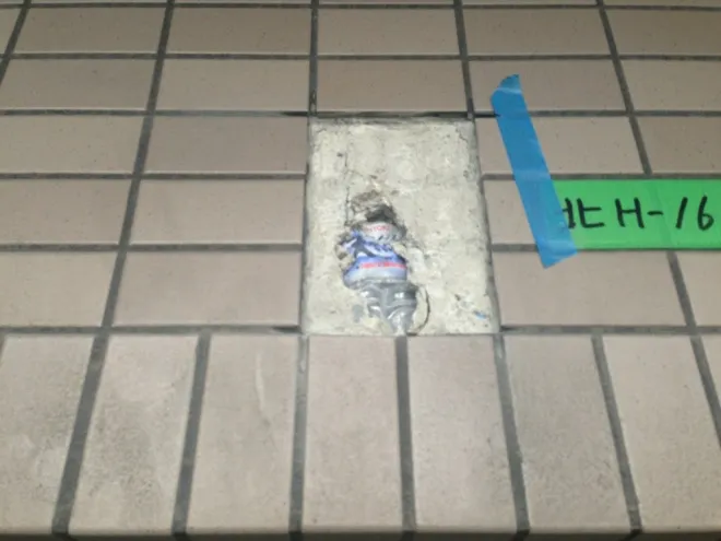 これ、何か解りますか？