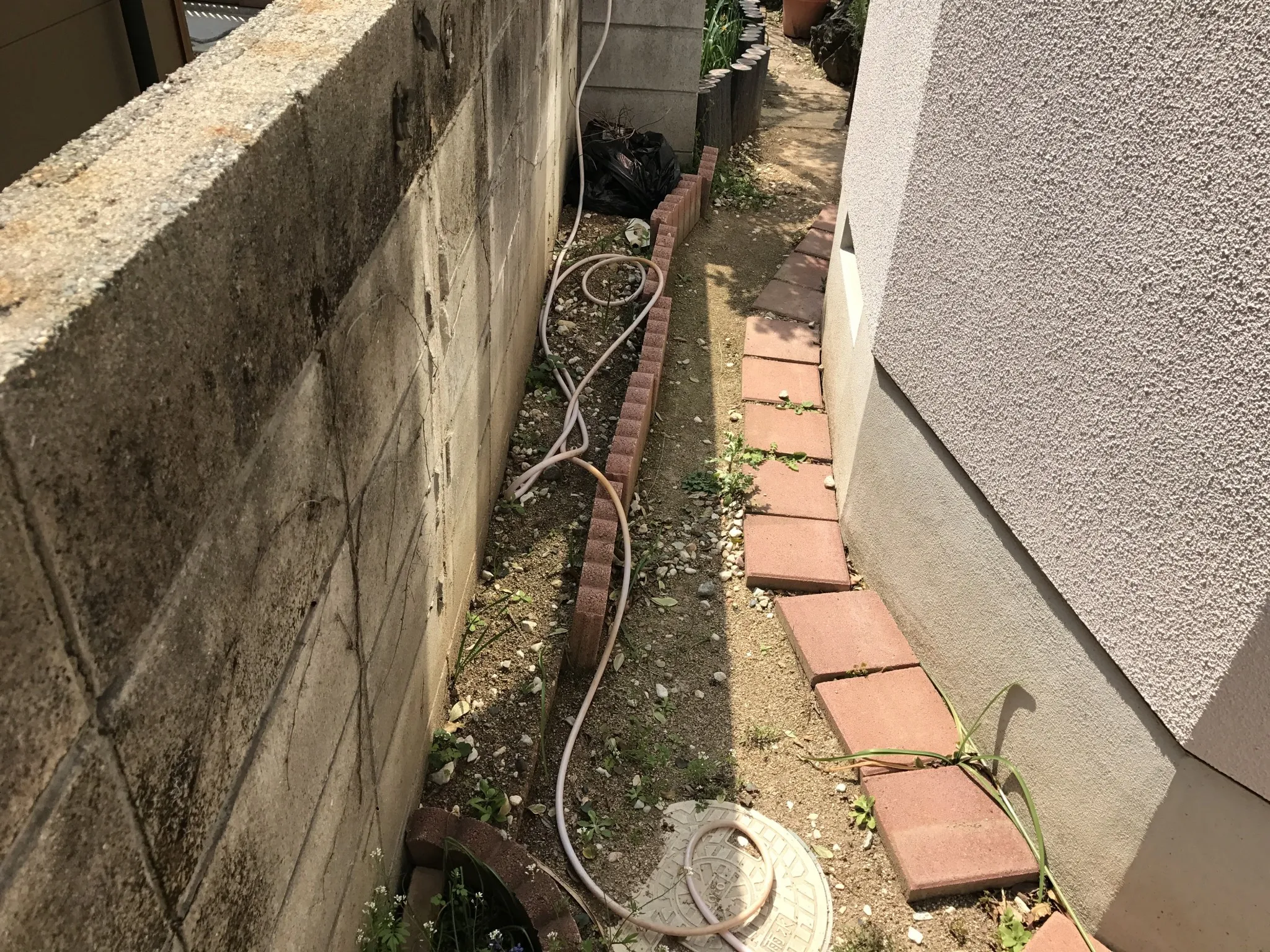 img1